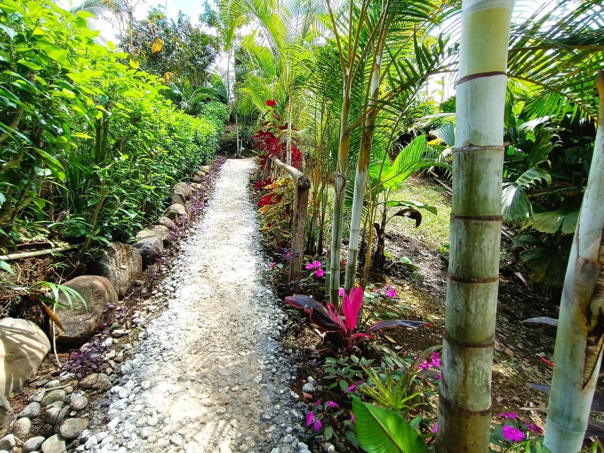 Cabana Vista Rio Celeste Dış mekan fotoğraf
