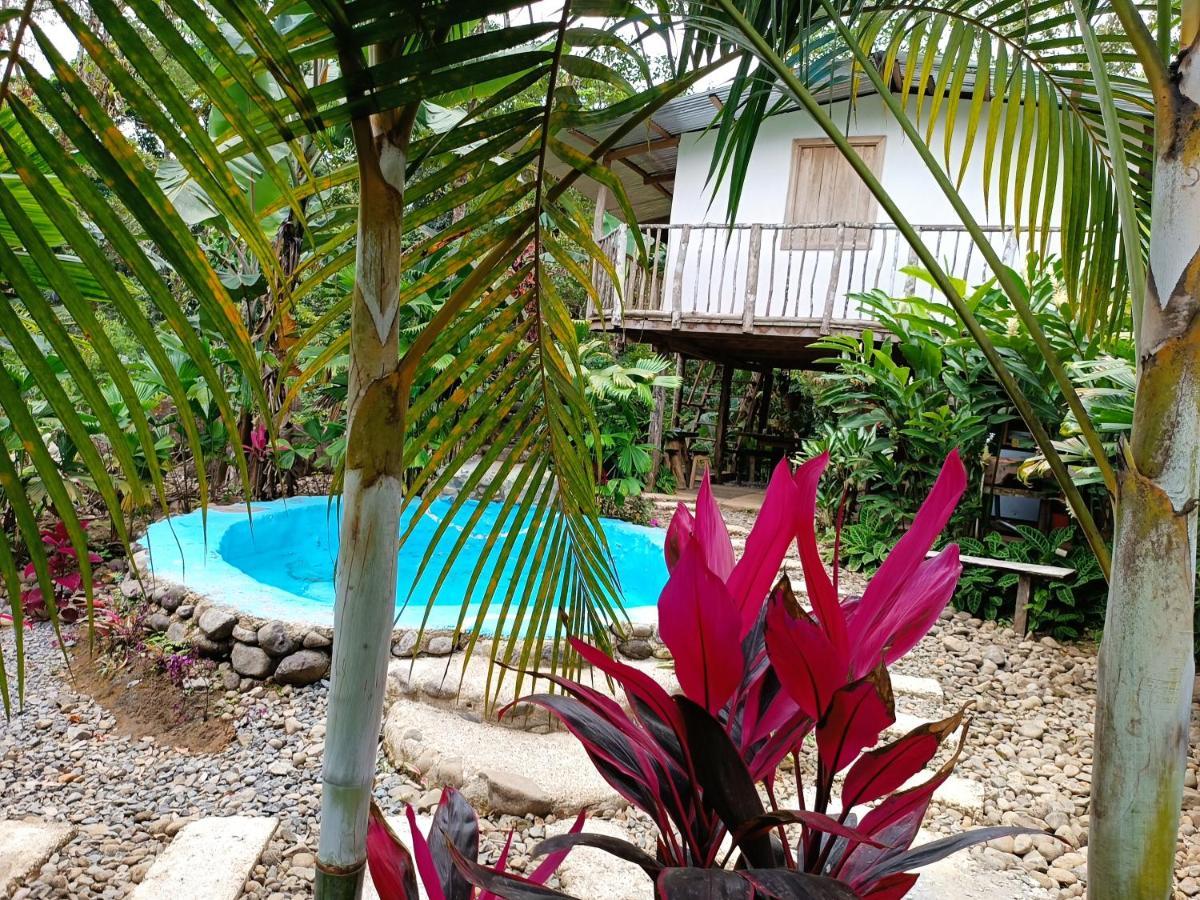 Cabana Vista Rio Celeste Dış mekan fotoğraf