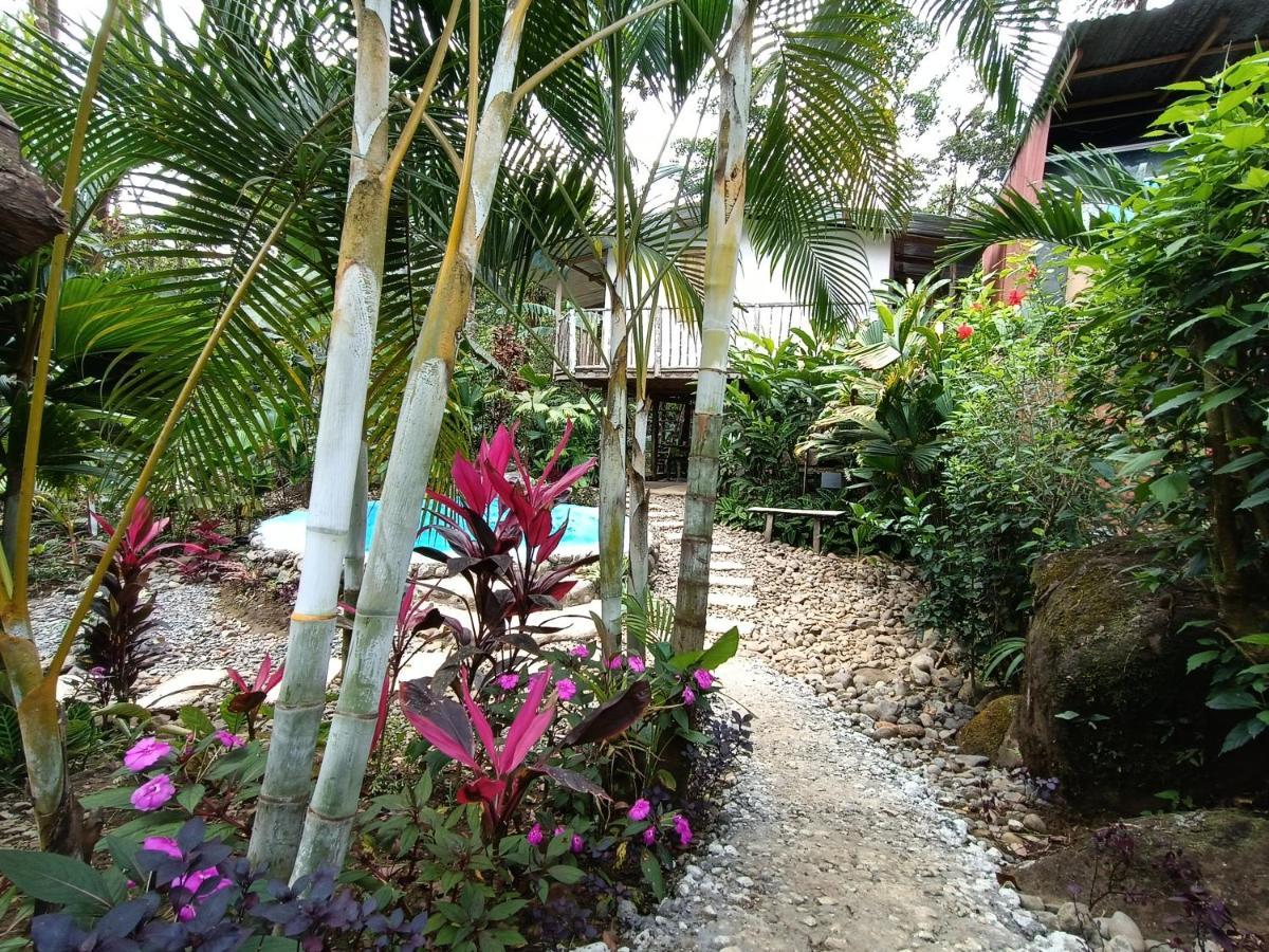 Cabana Vista Rio Celeste Dış mekan fotoğraf