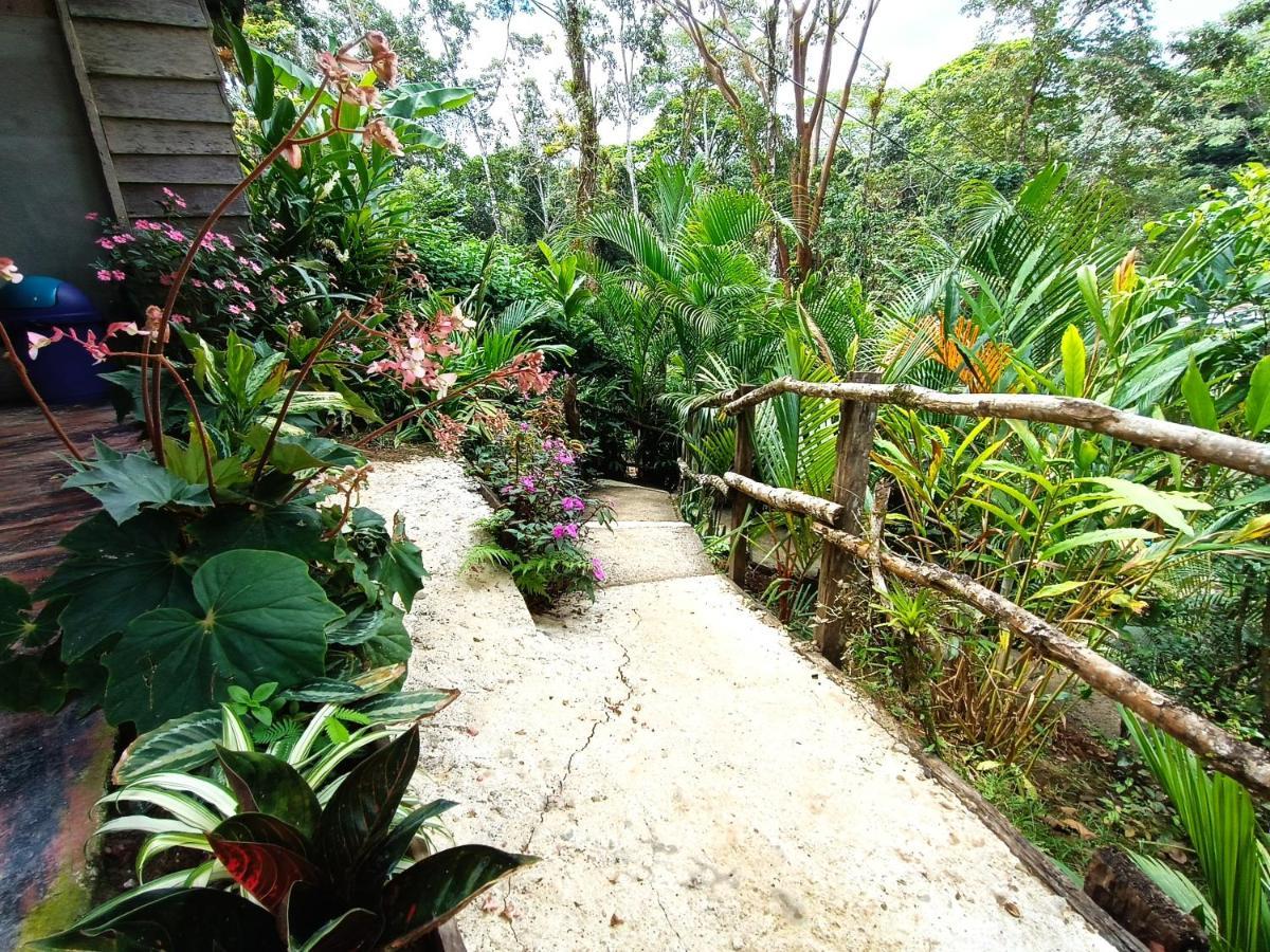 Cabana Vista Rio Celeste Dış mekan fotoğraf